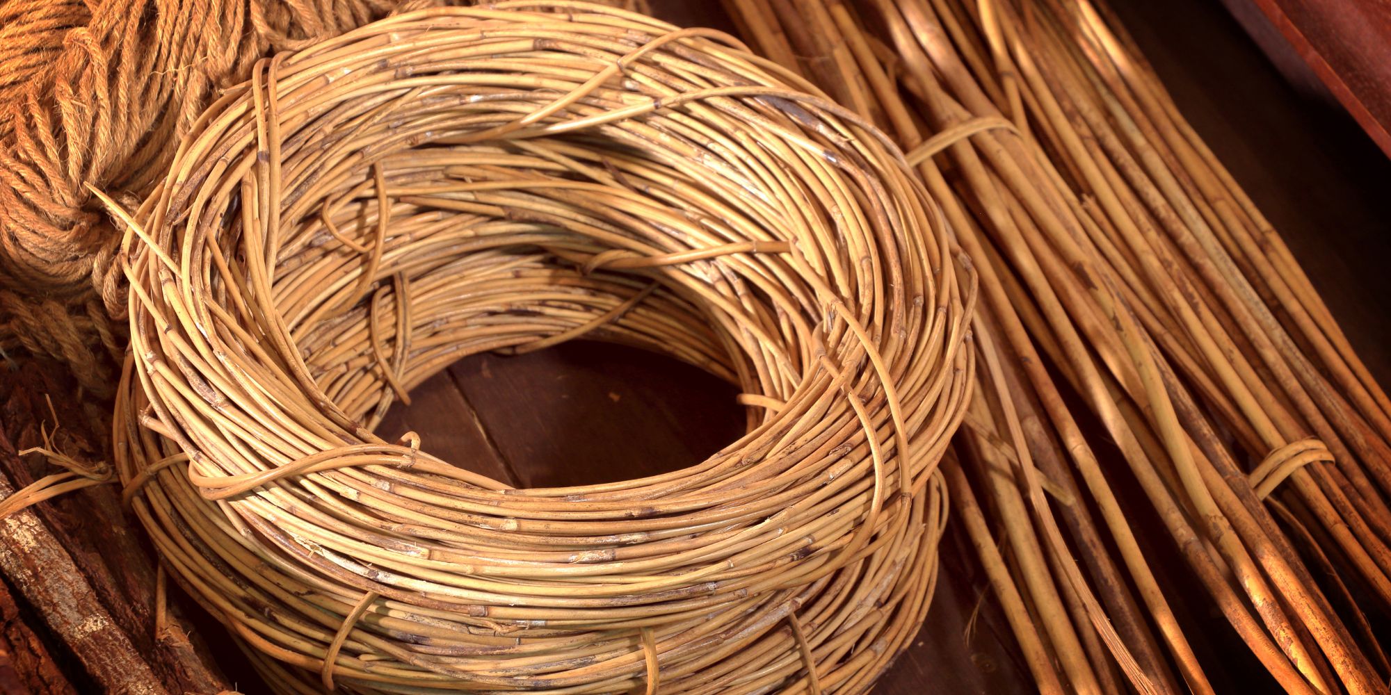 Progetto senza titolo – 2023-11-16T175032.715