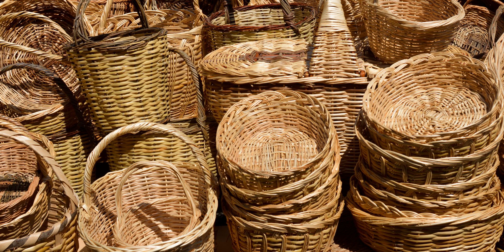 Progetto senza titolo – 2023-11-22T172543.099