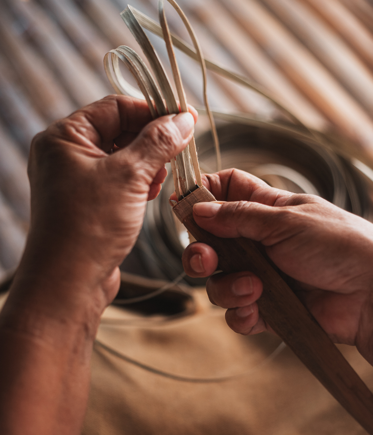 Progetto senza titolo (57)